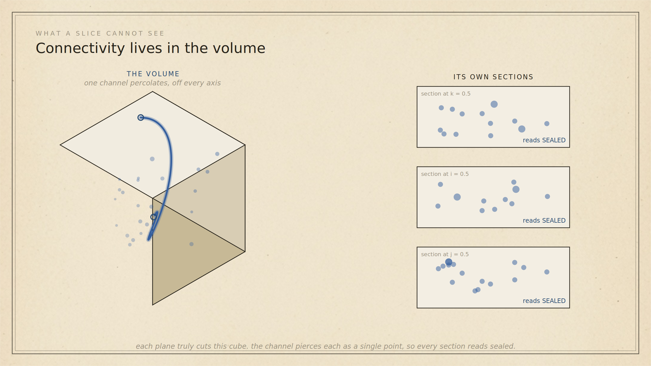 A section samples a plane. Connectivity lives in the volume. The slice overestimates blockage.